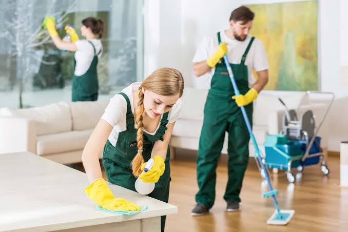Sur Coastal Cleaning